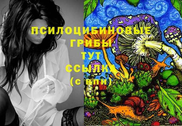 тгк Алзамай