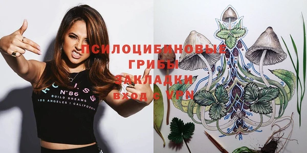 тгк Алзамай